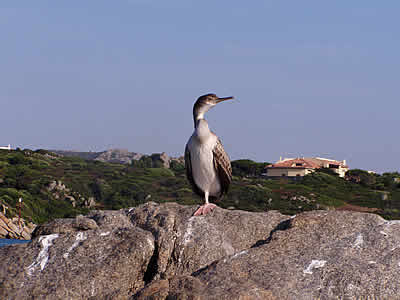 Santa Teresa di Gallura